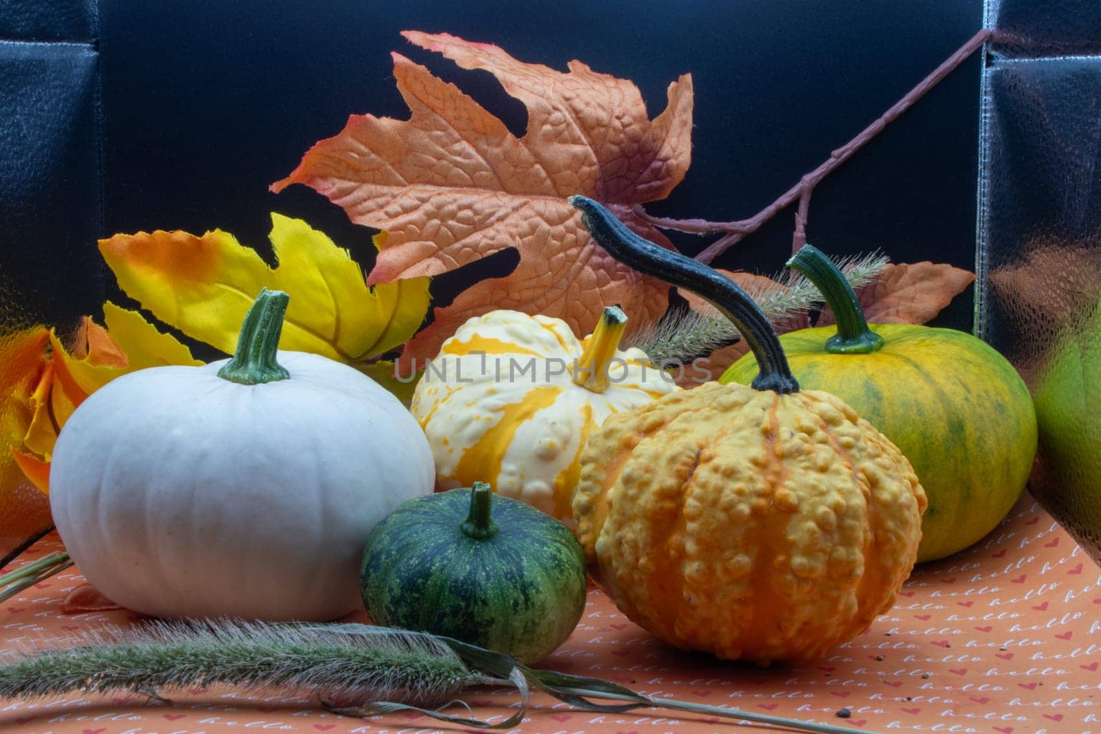 Festive autumn halloween fall harvest background pumpkin's and squash. High quality photo