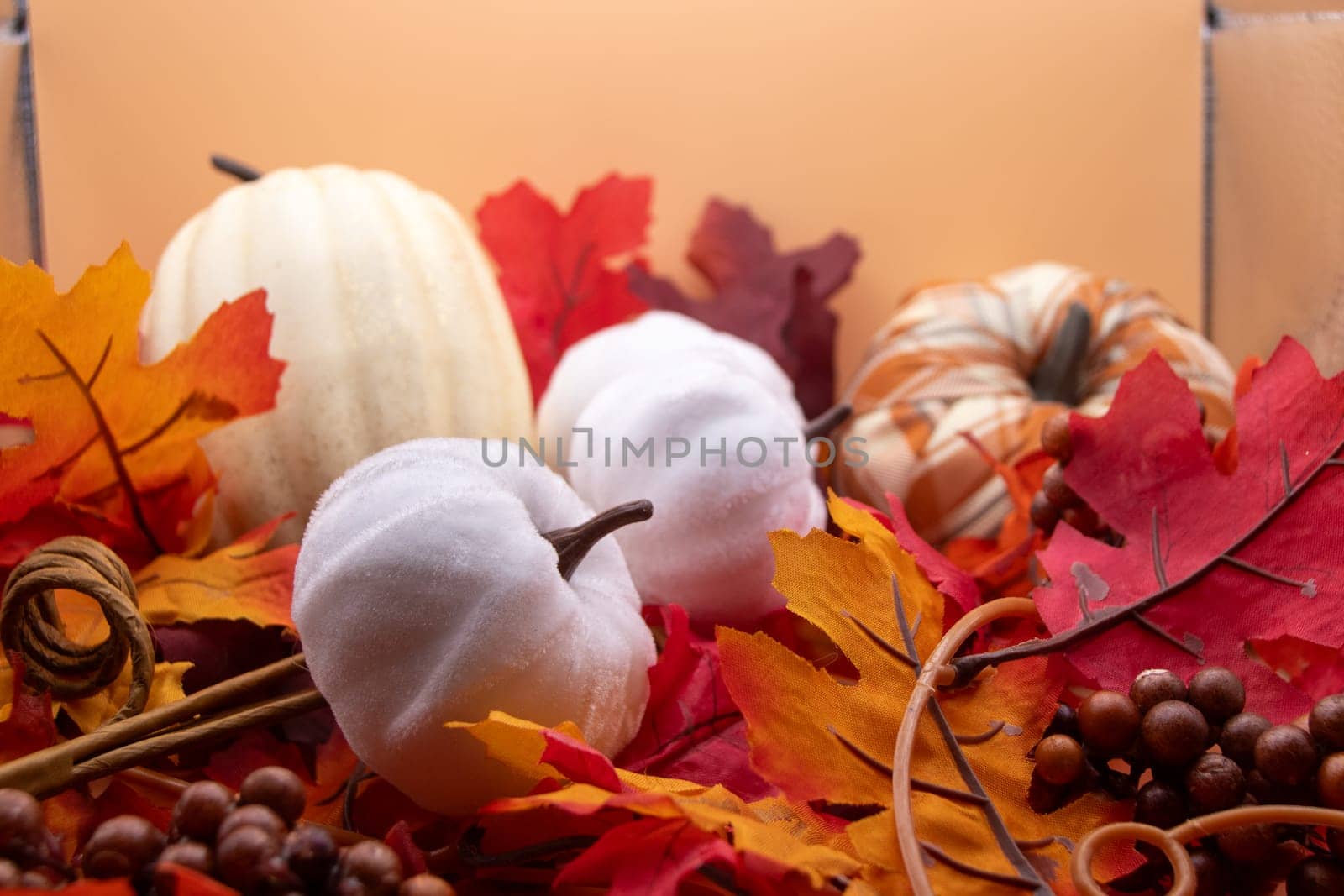 Festive autumn halloween fall harvest background pumpkin's and squash by gena_wells