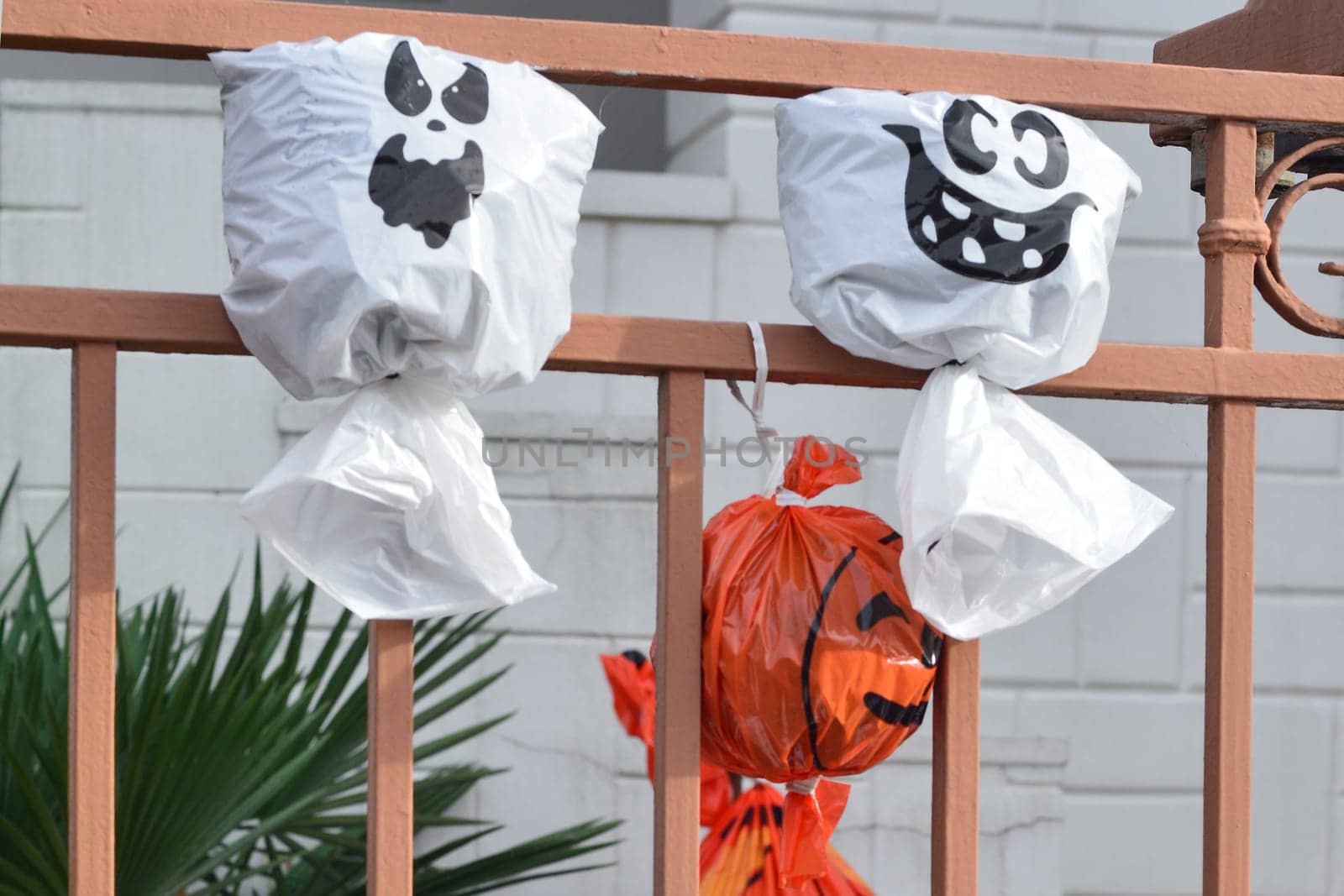 Artificial pumpkin heads from a plastic bag on the fence House in background.