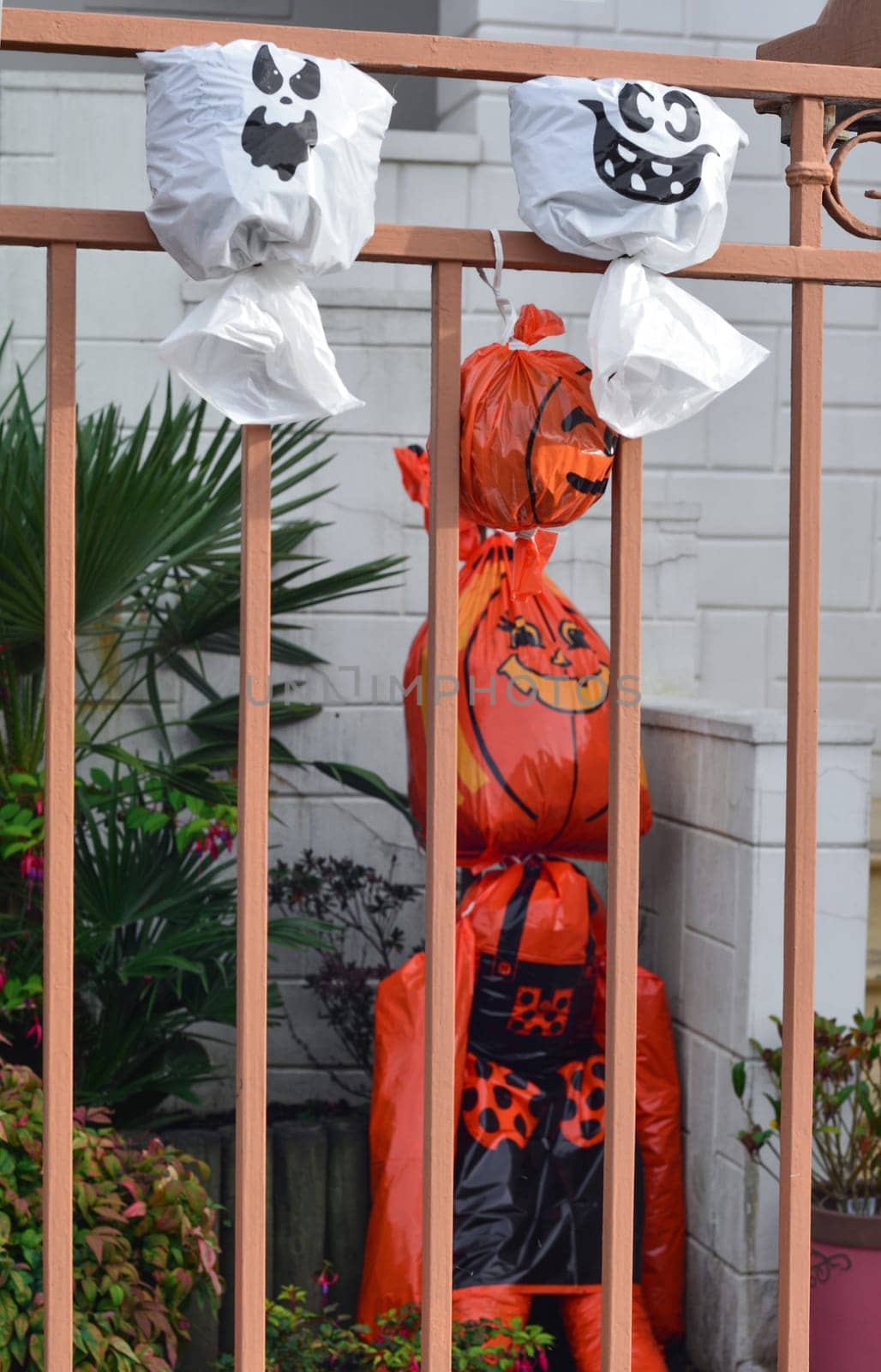 Artificial pumpkin heads from a plastic bag on the fence House in background.
