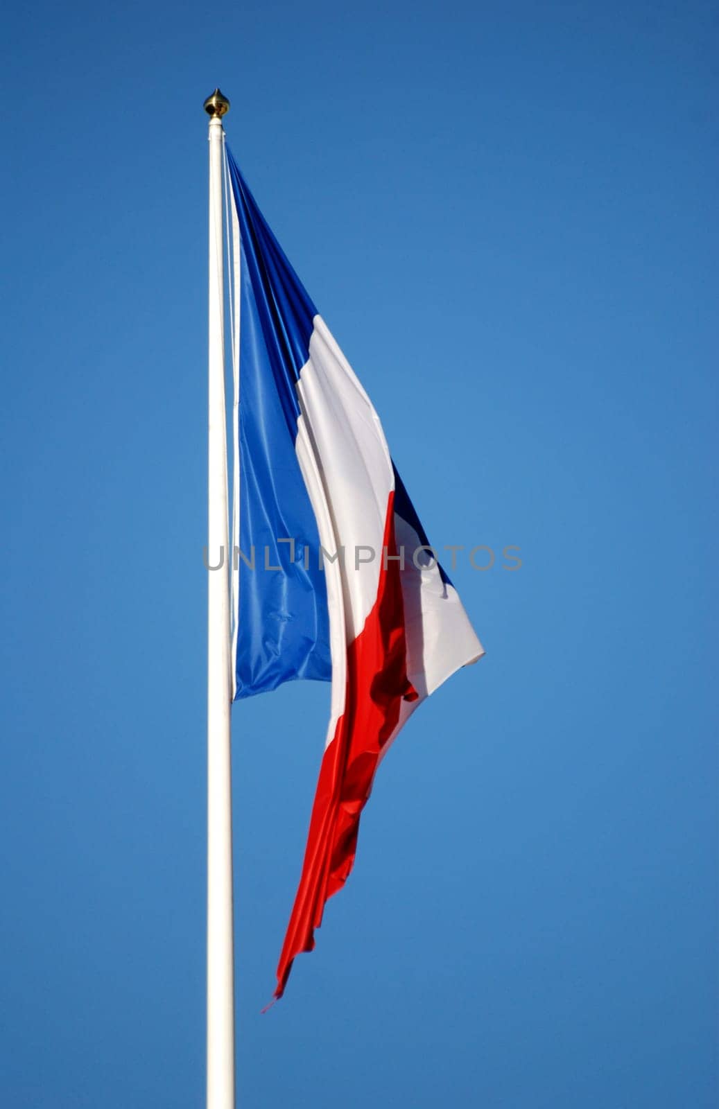 Tricolore