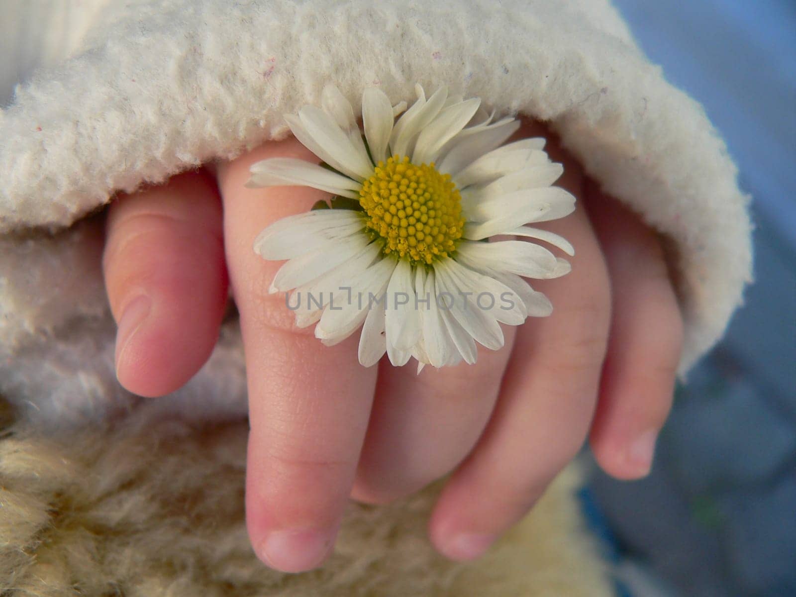 small hand