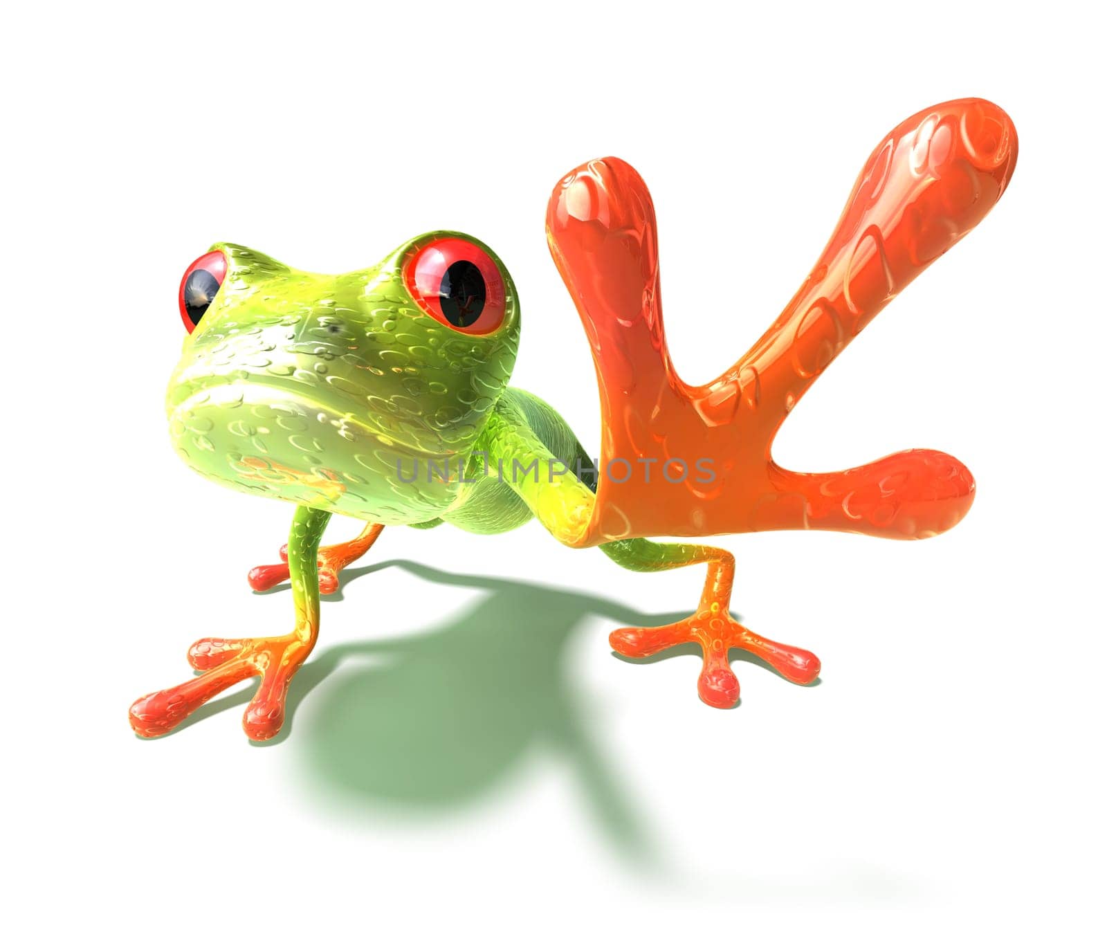 Frog