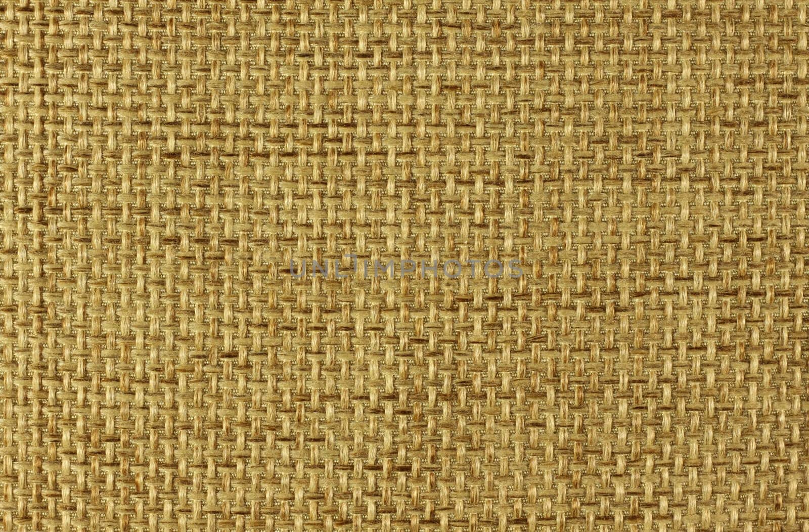 Canvas Texture