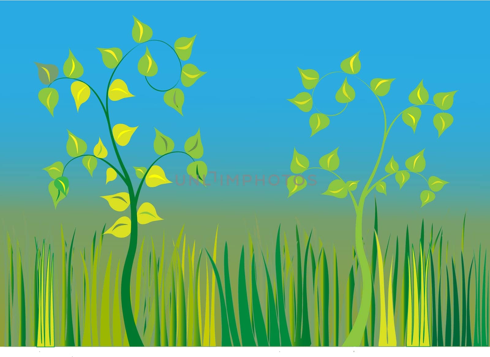 Vector - illustration,grass field