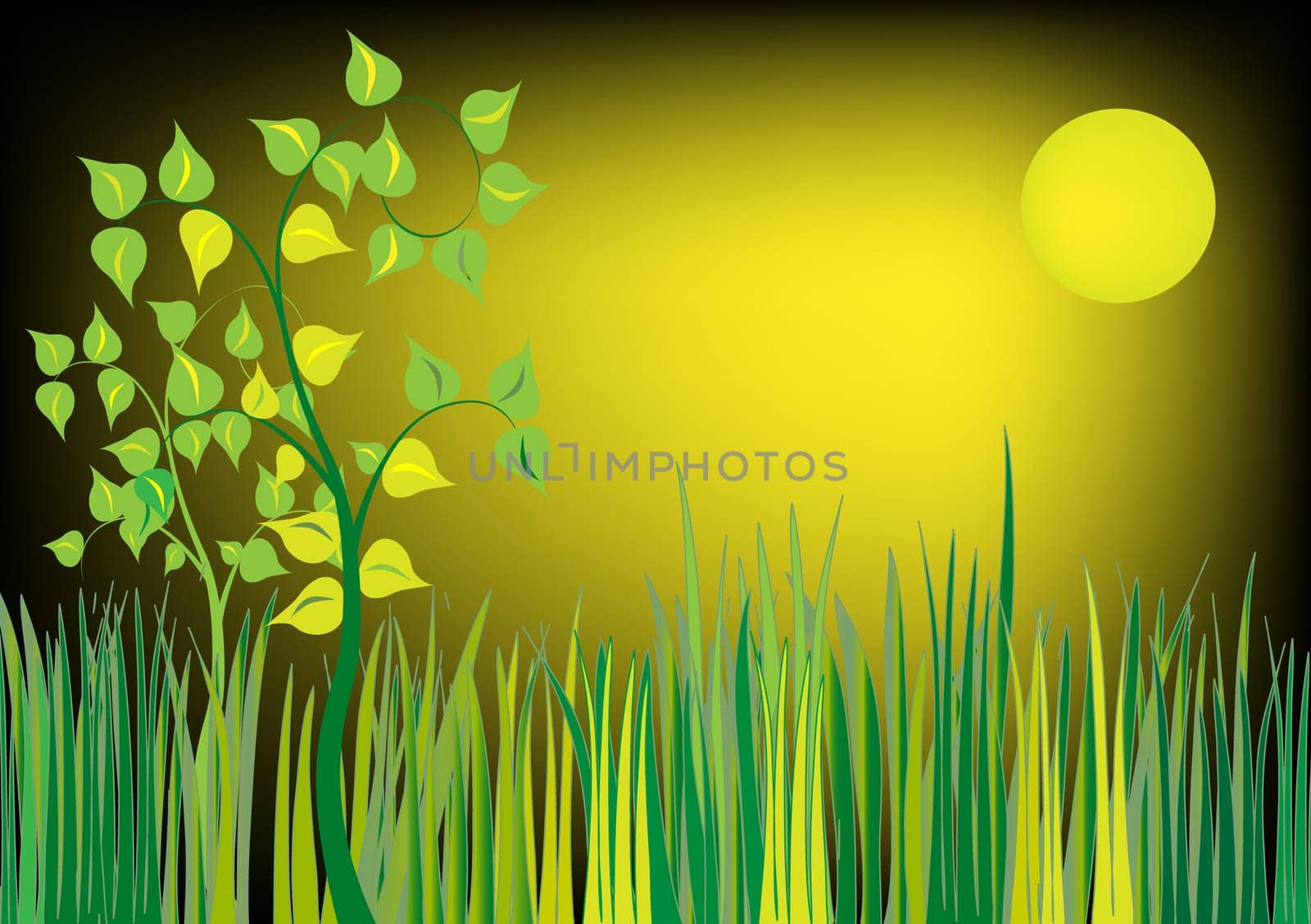 Meadow in the moonlight