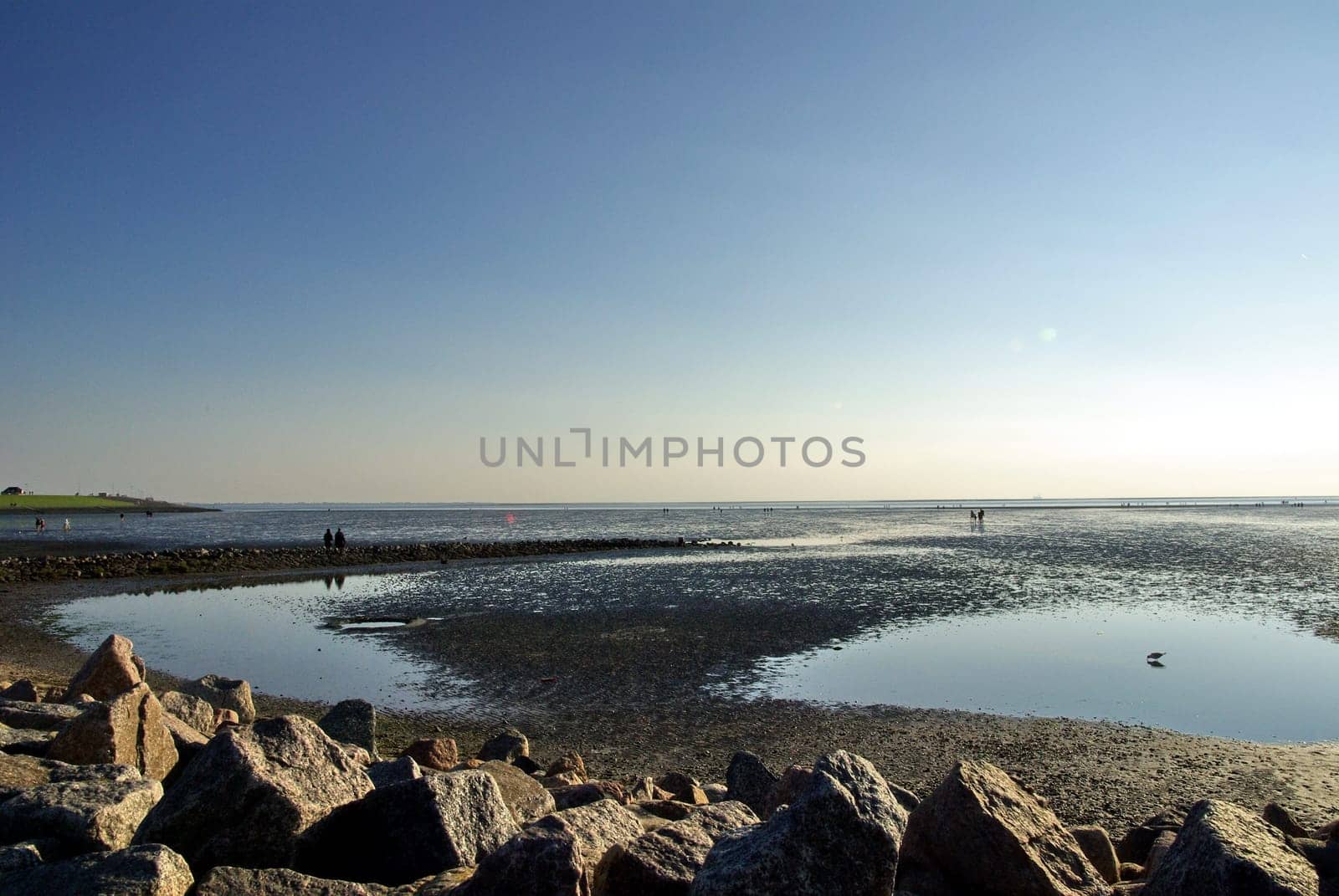 Wadden Sea2