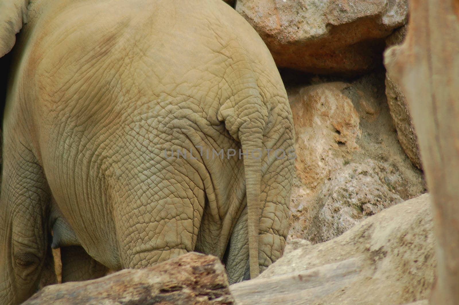 camouflage