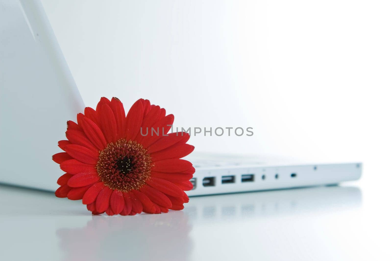 Workplace with flower