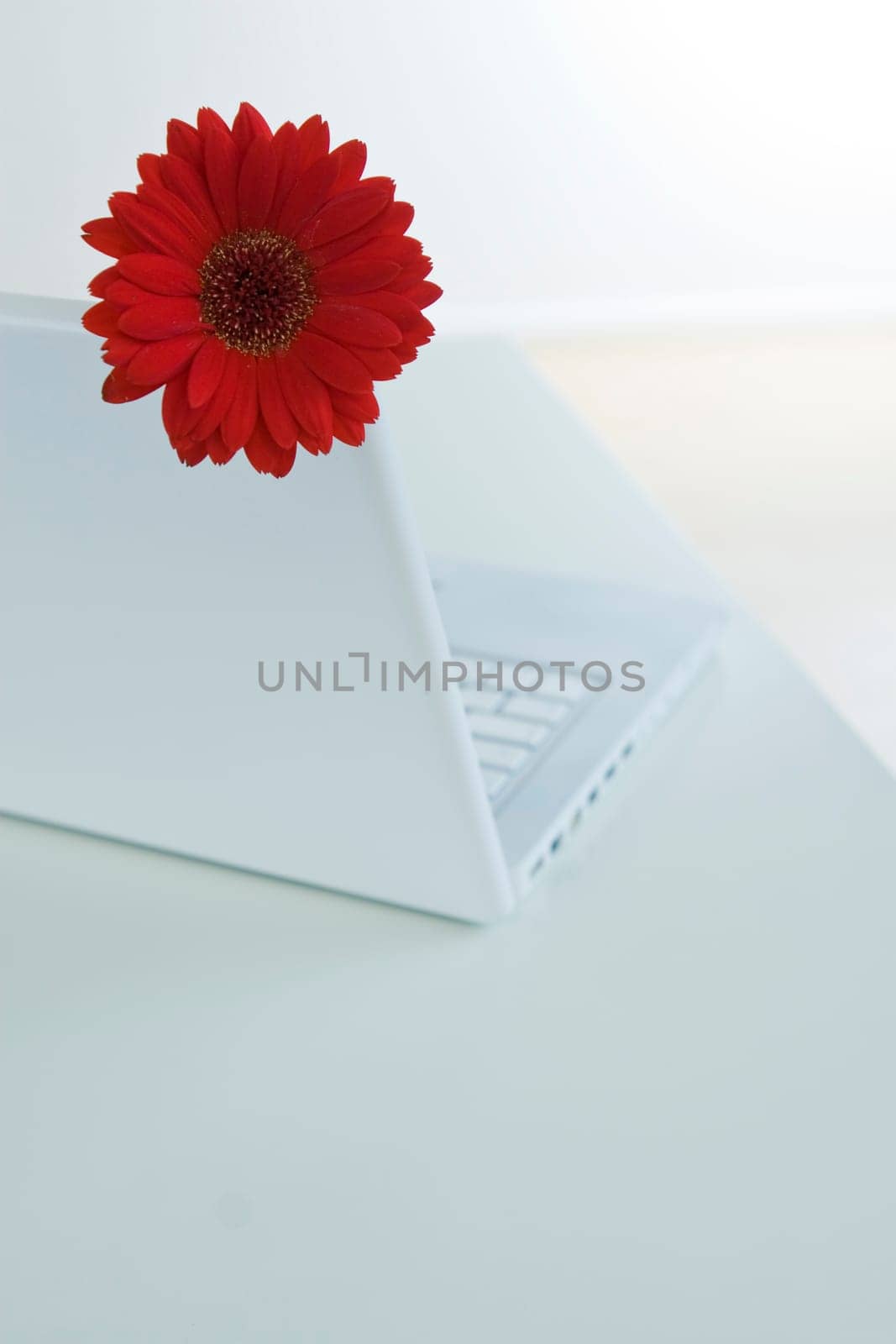 Laptop with flower
