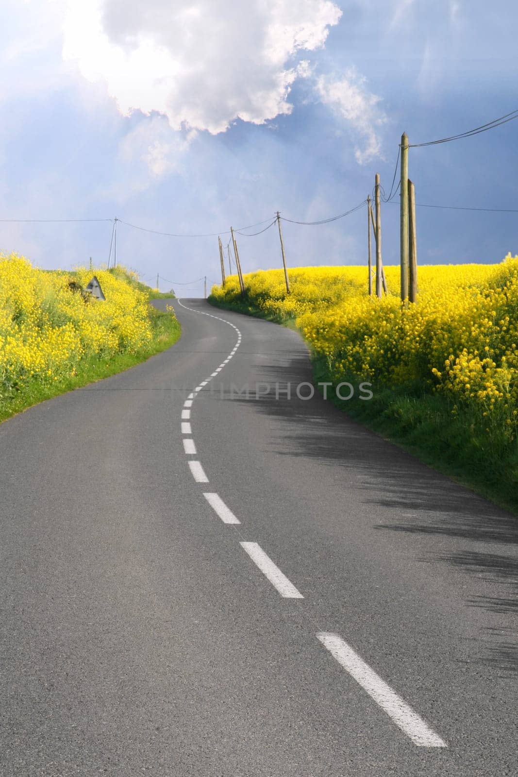 Thru the rape fields