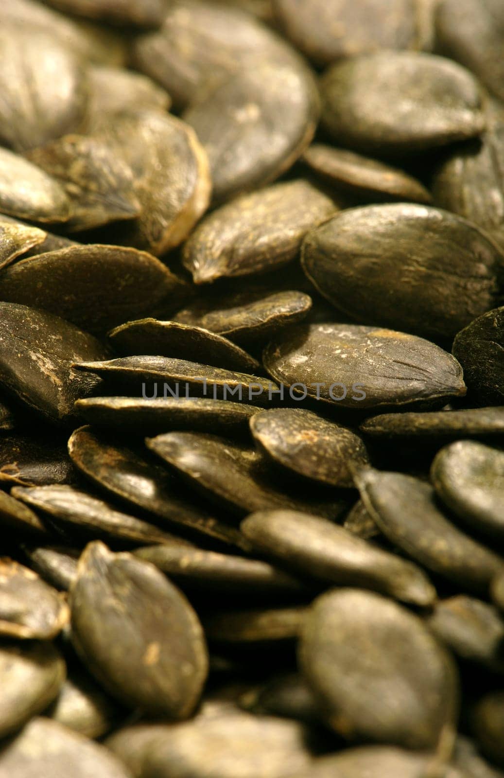 Pumpkin seeds - close-up