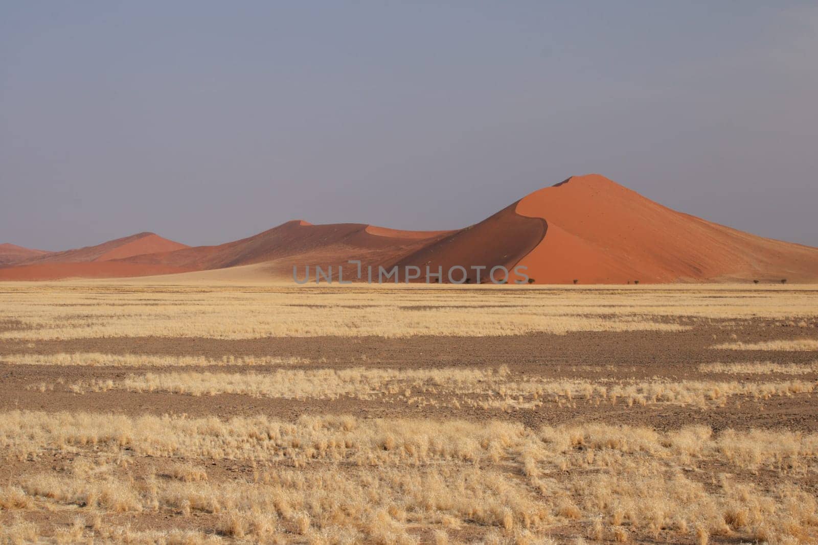 Dunes in Namibia