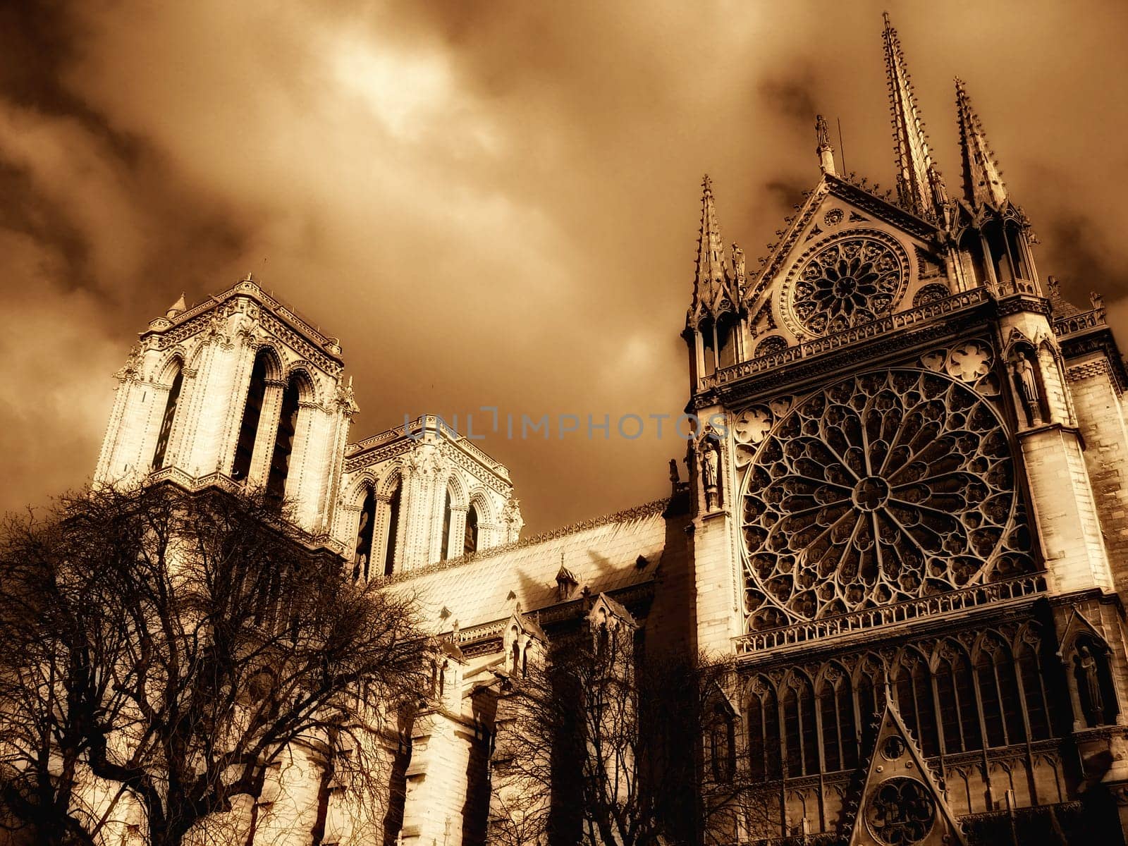 Notre-Dame catherdral in Paris