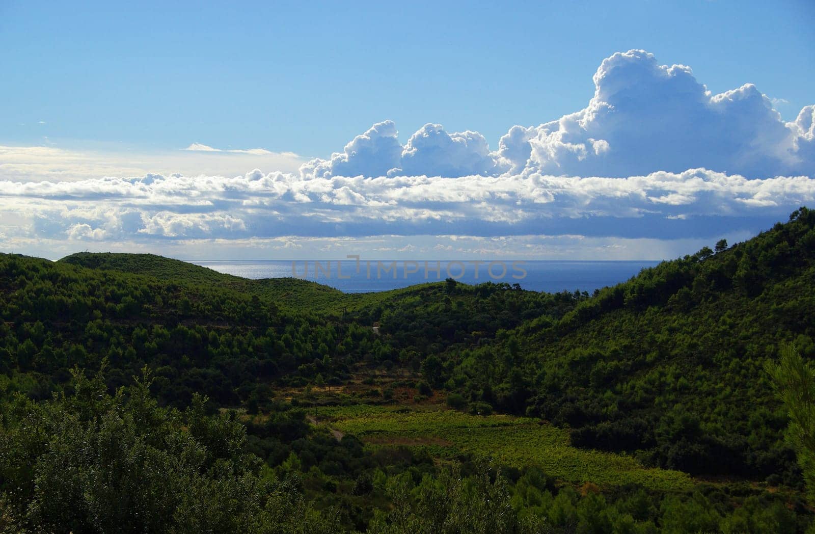 Mljet Coast 08