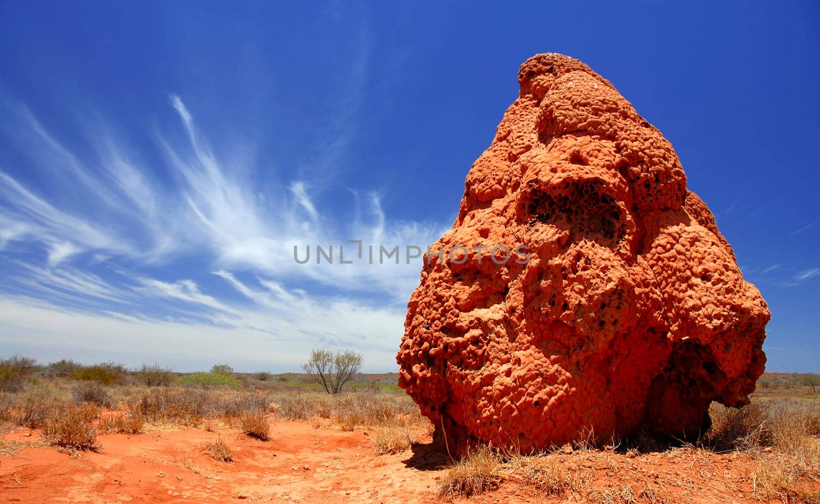 Termite High-Rise