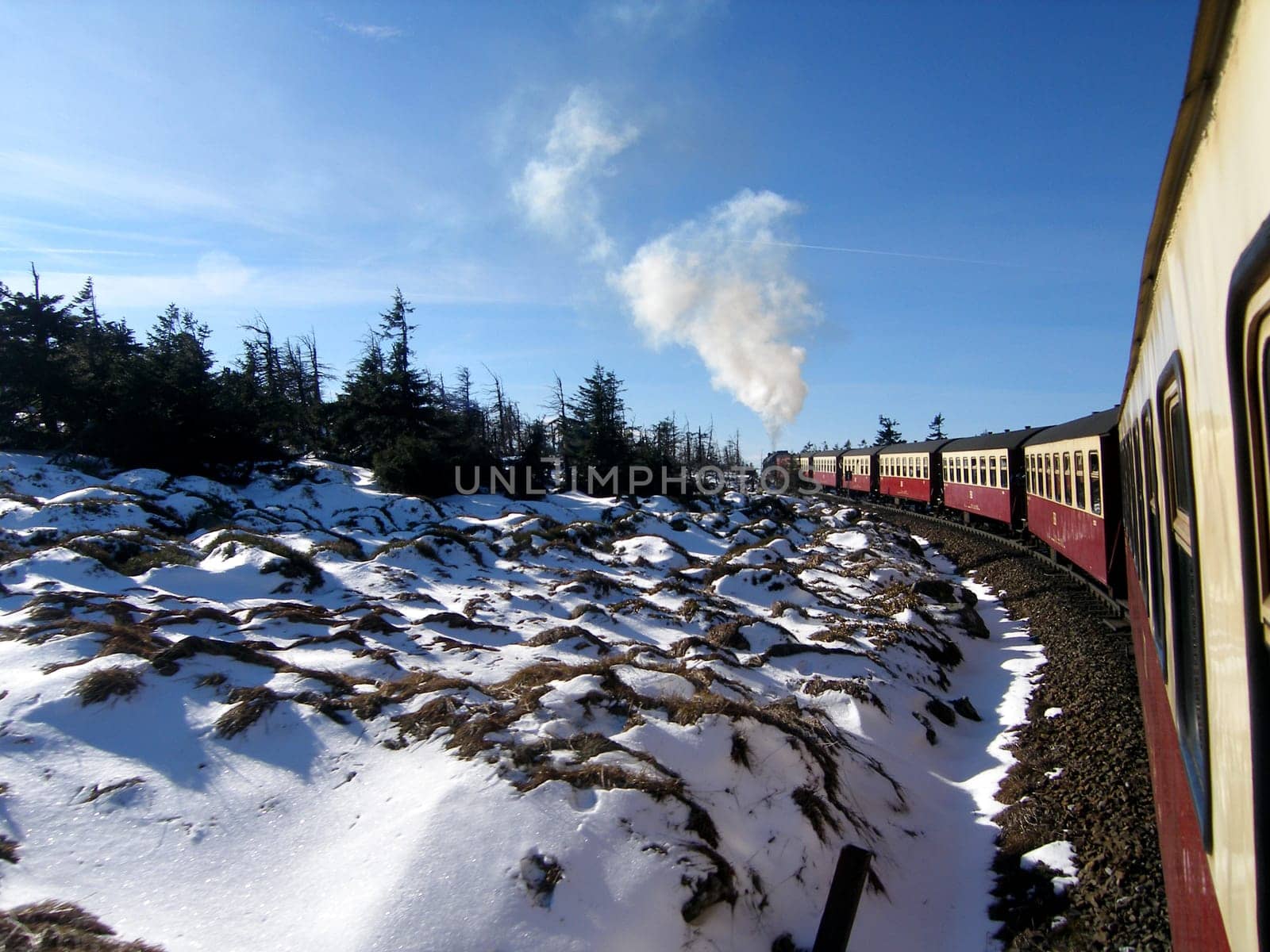 The Harz narrow-gauge railway shortly before the finish - the Brocken! The trees up there have a very hard time because of the high moors. Since the soil is over-acidified,there is a lot of wind and cold,they die prematurely.