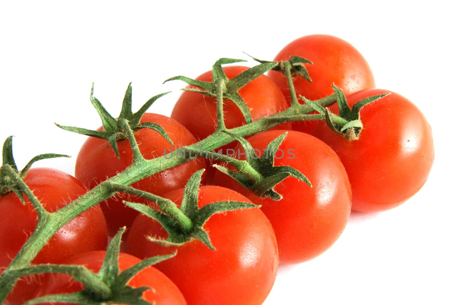 Tomato branch