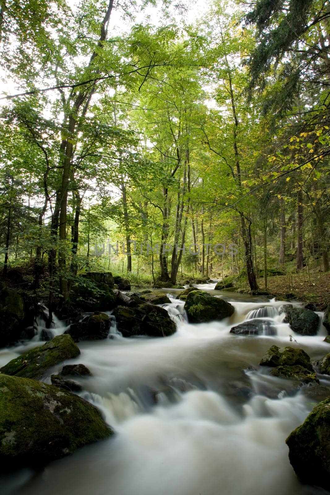 Wild river in a valley