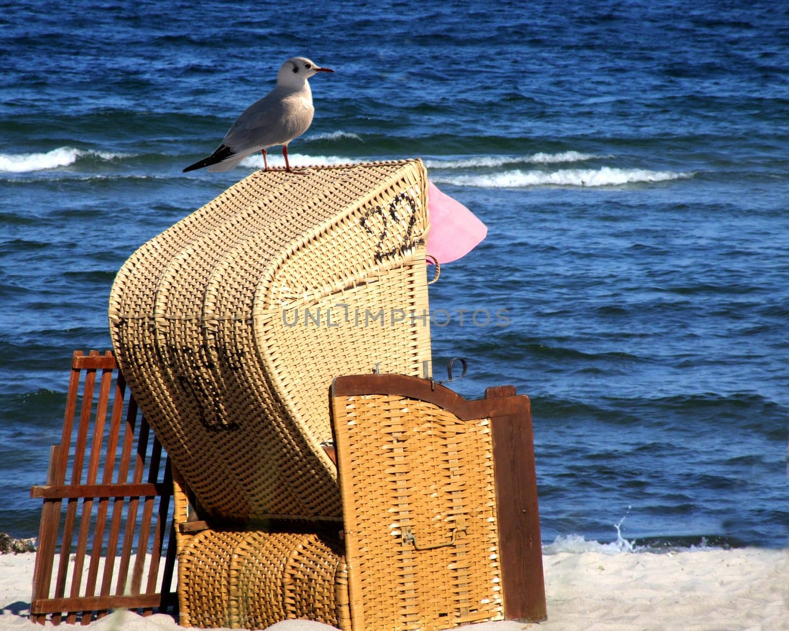 Beach chair with seagull