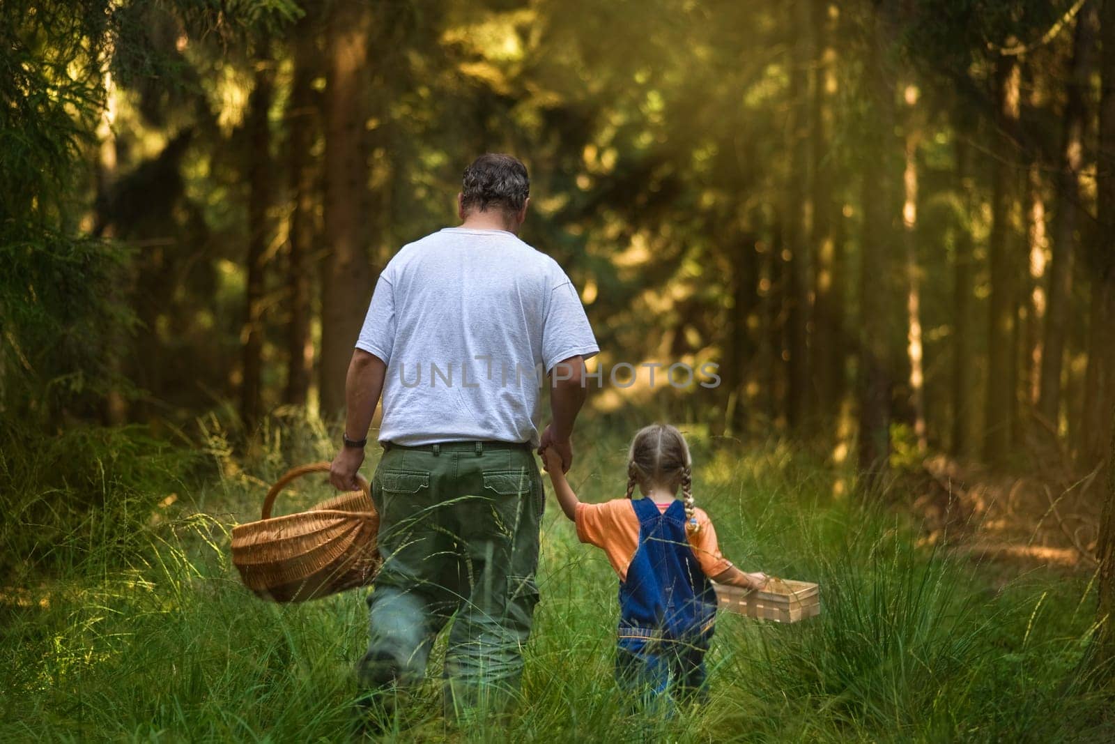 Walk in the woods
