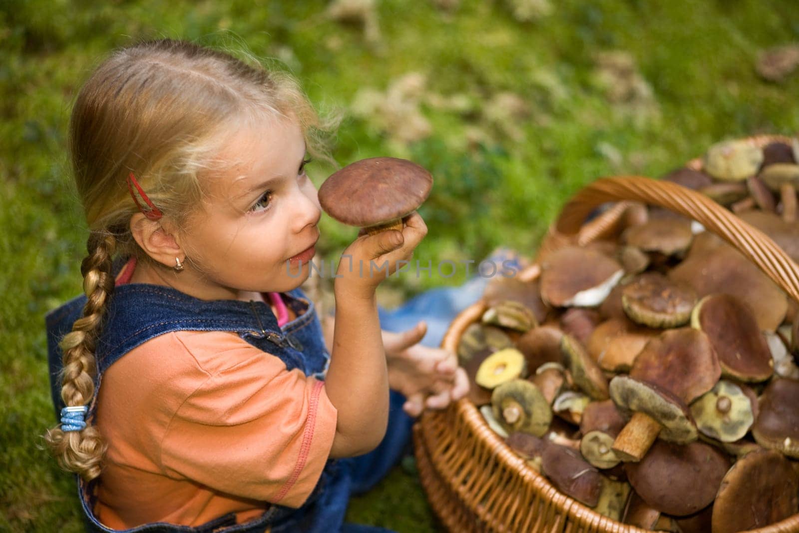 Mushroom picking