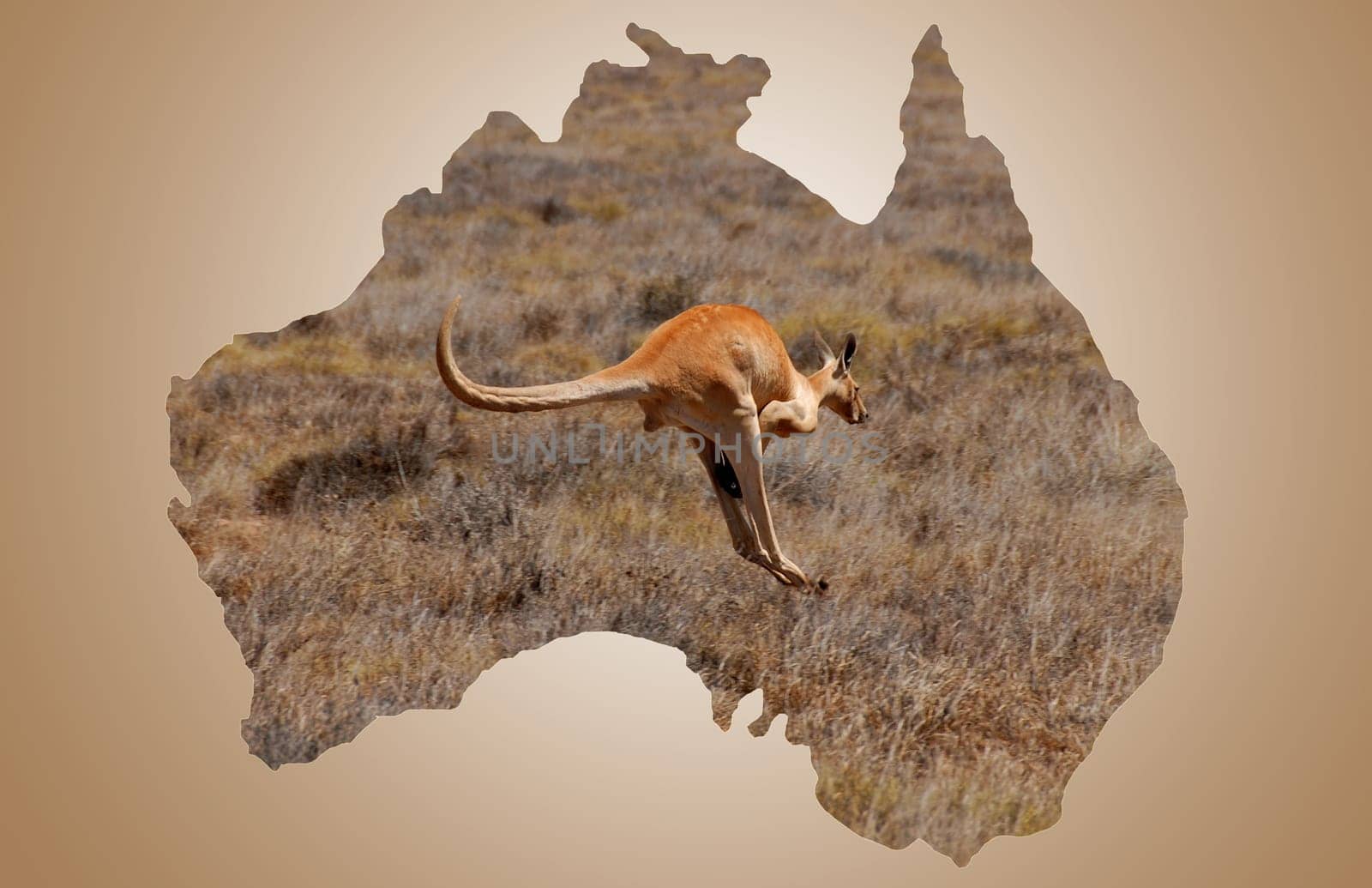 Australian Borderlines