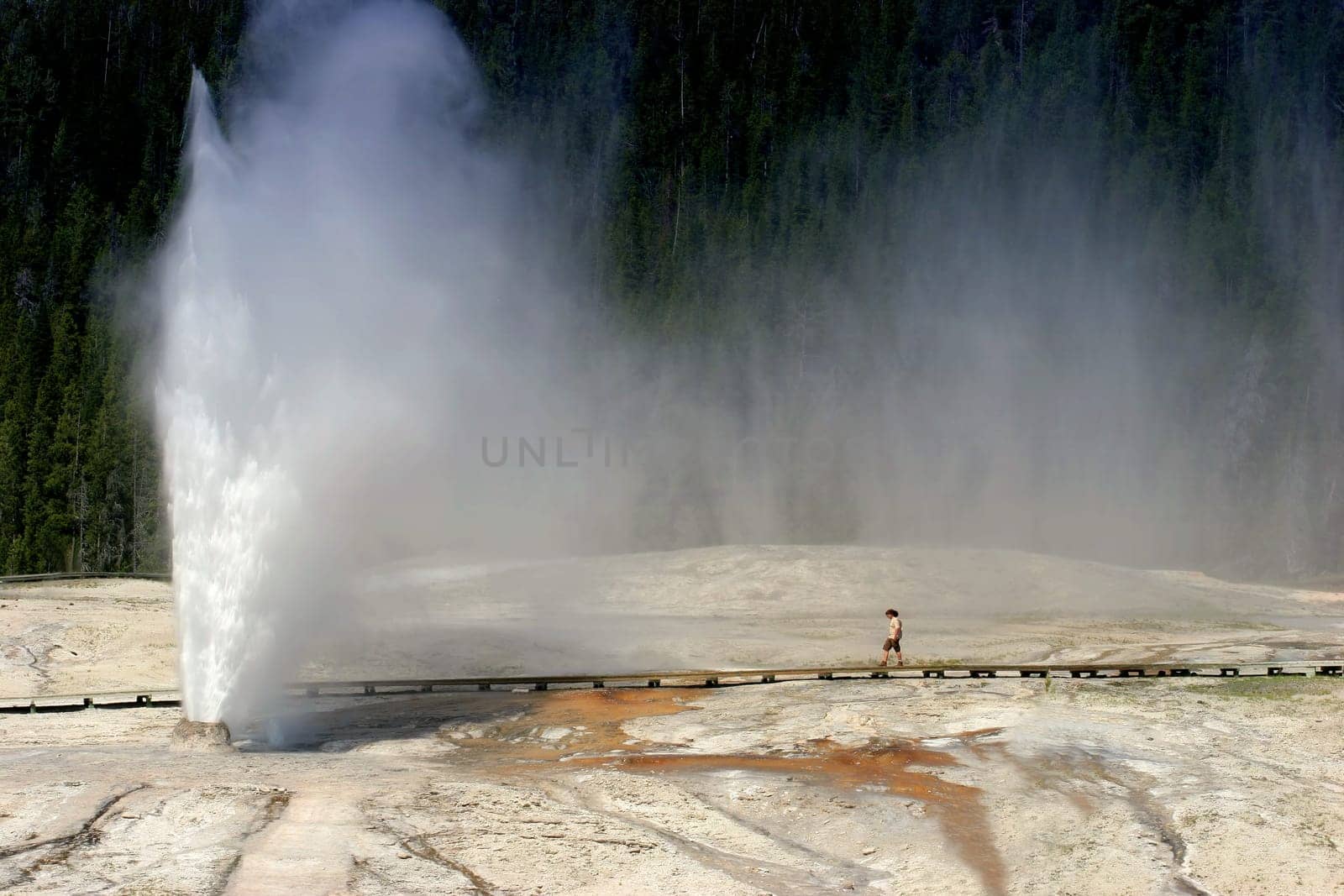 Yellowstone Park - Beehive Geyser