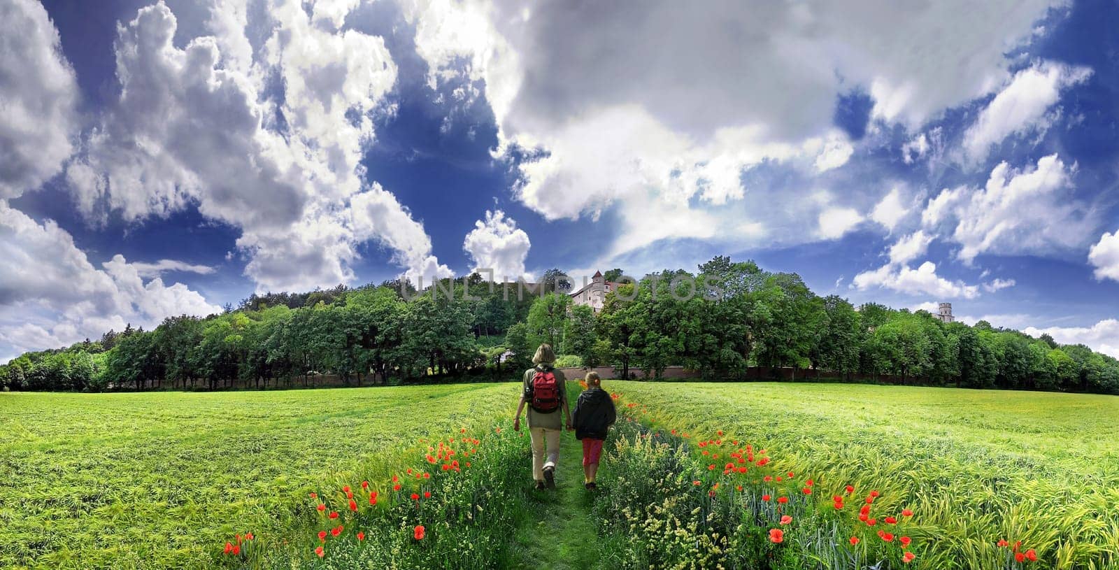 Nature trail