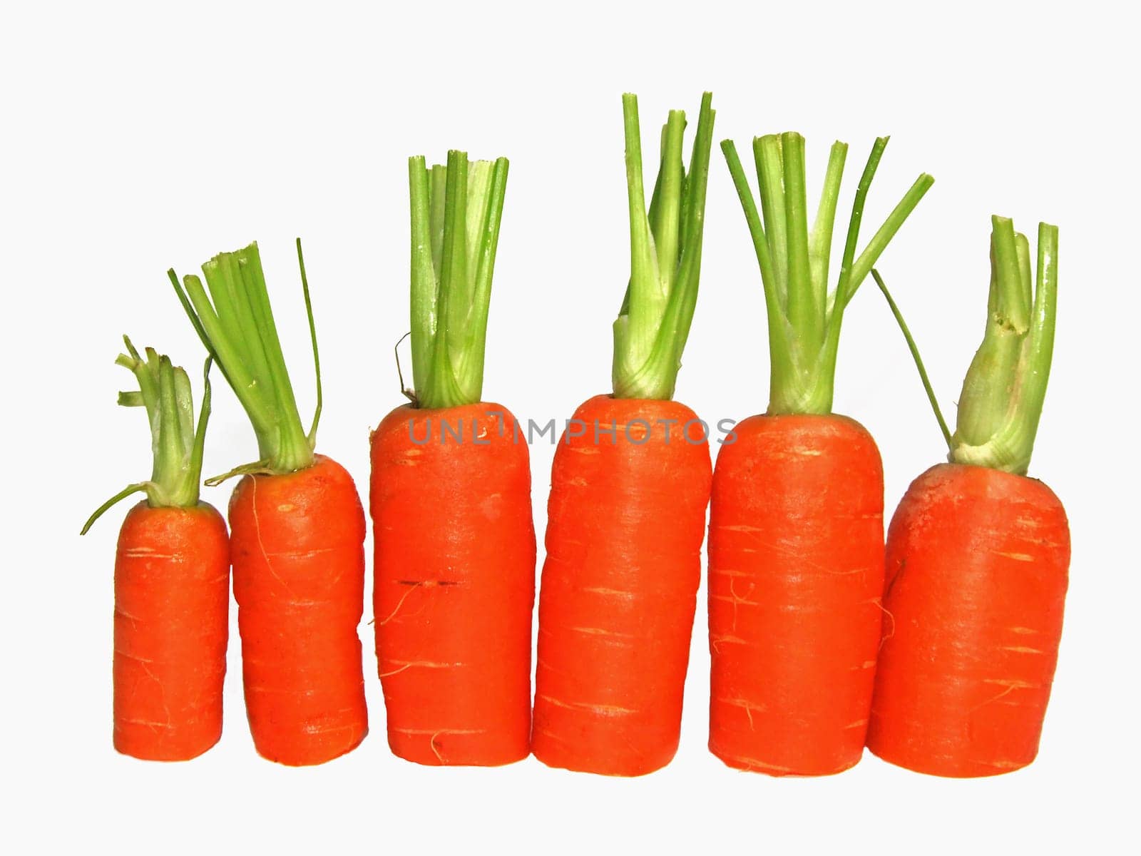 Carrots