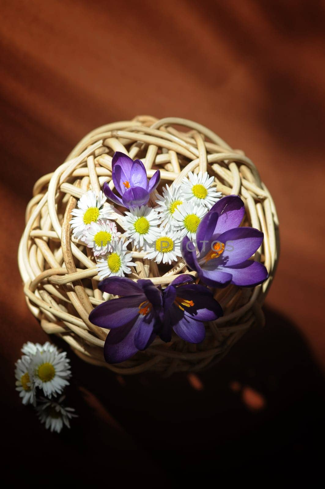 Flowers without food