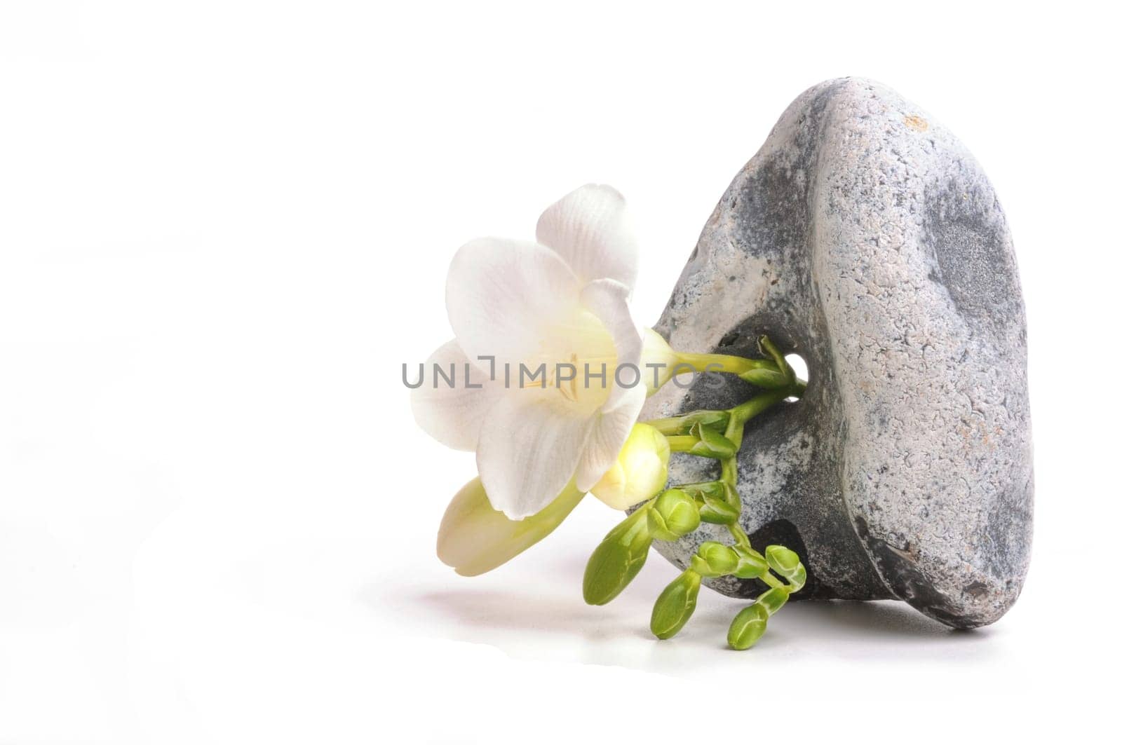 Perforated Stone