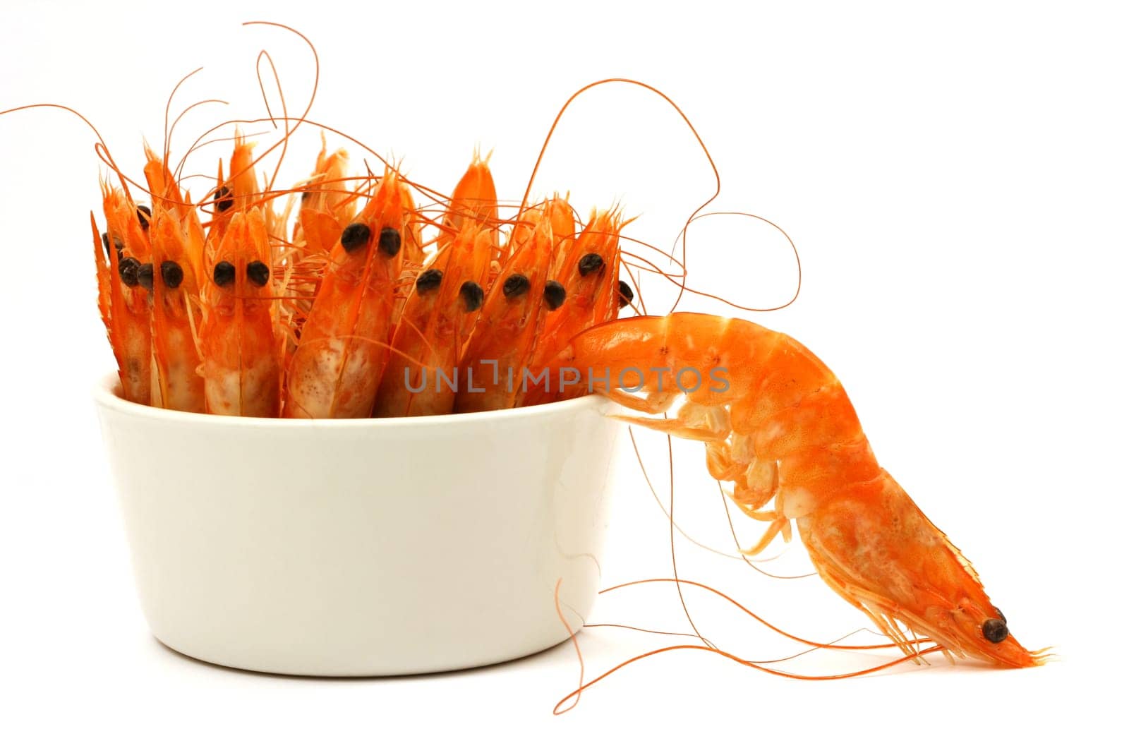 Shrimp escape