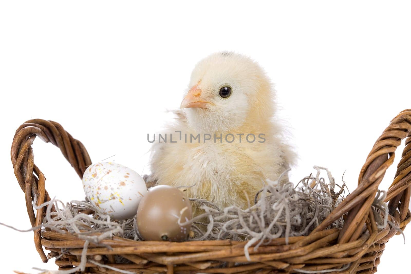 Chicken in basket
