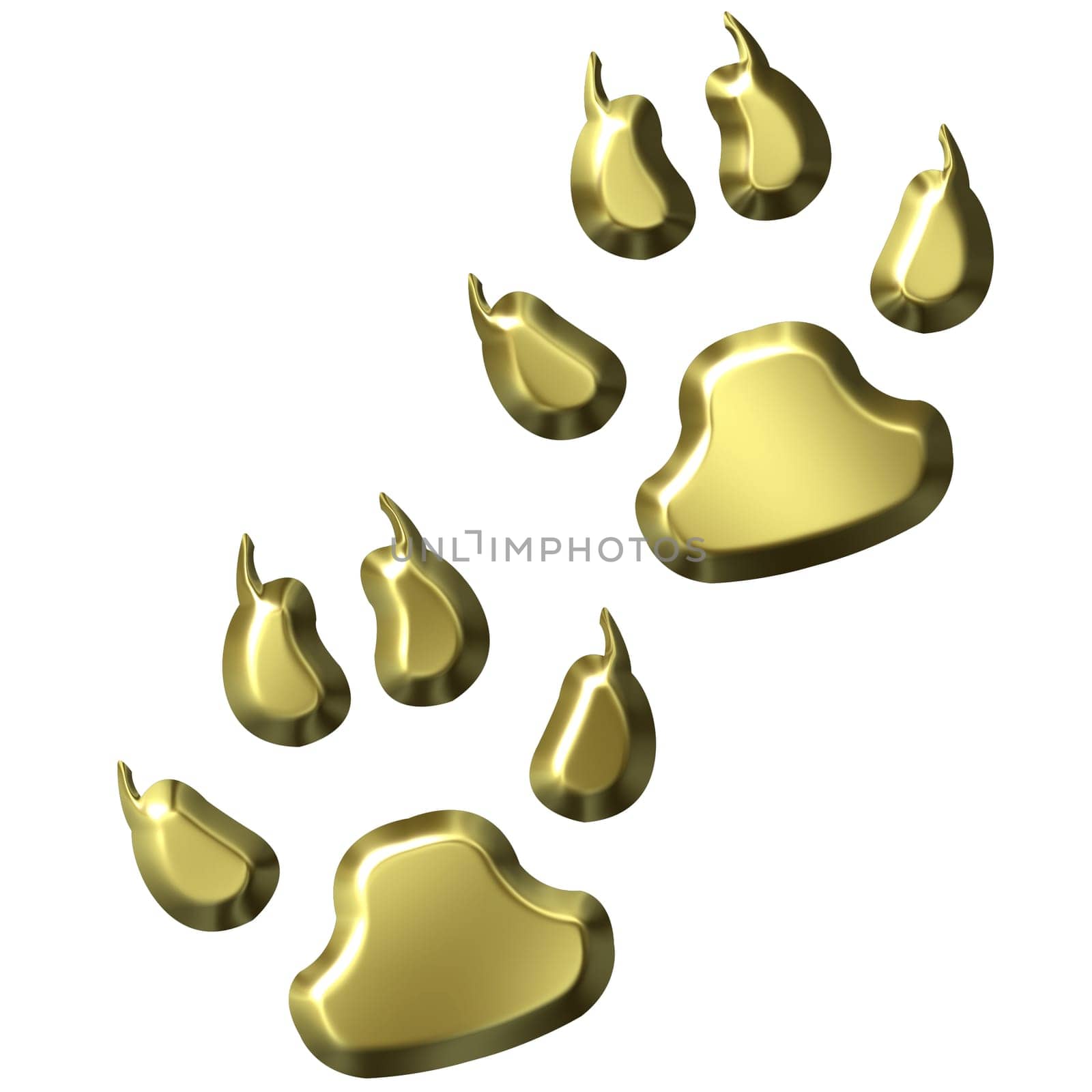 3D Golden Animal Foot Prints