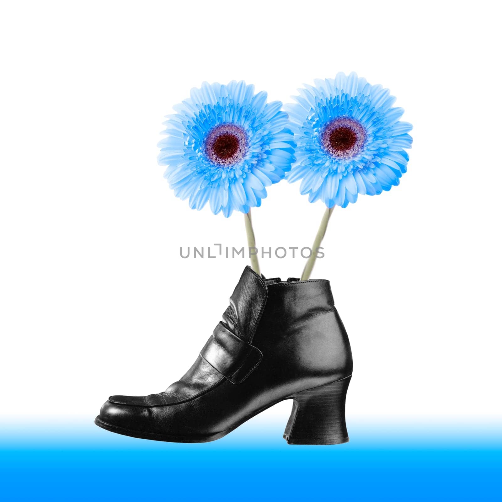 Spring Awakening