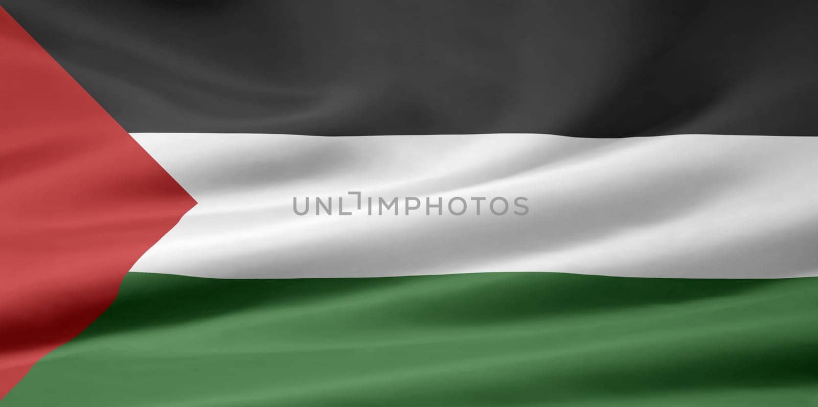 Pakistani Flag