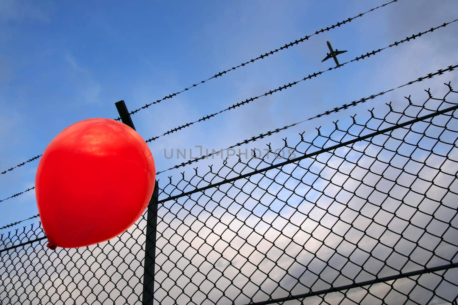 Barbed freedom