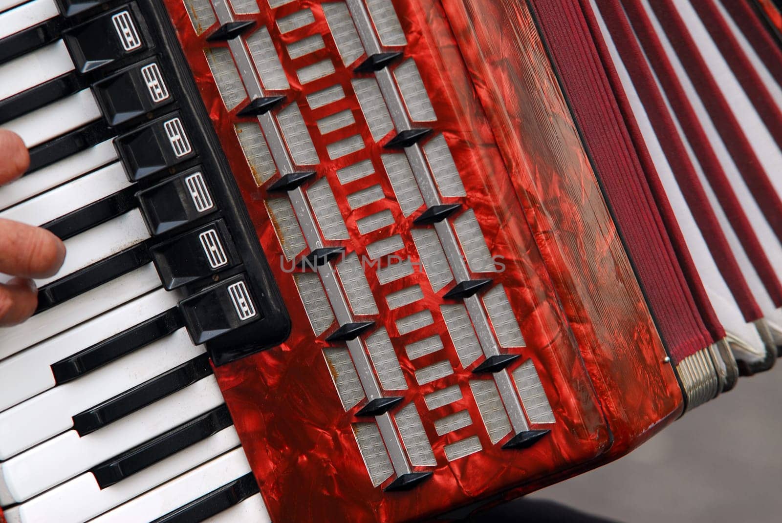 Accordion