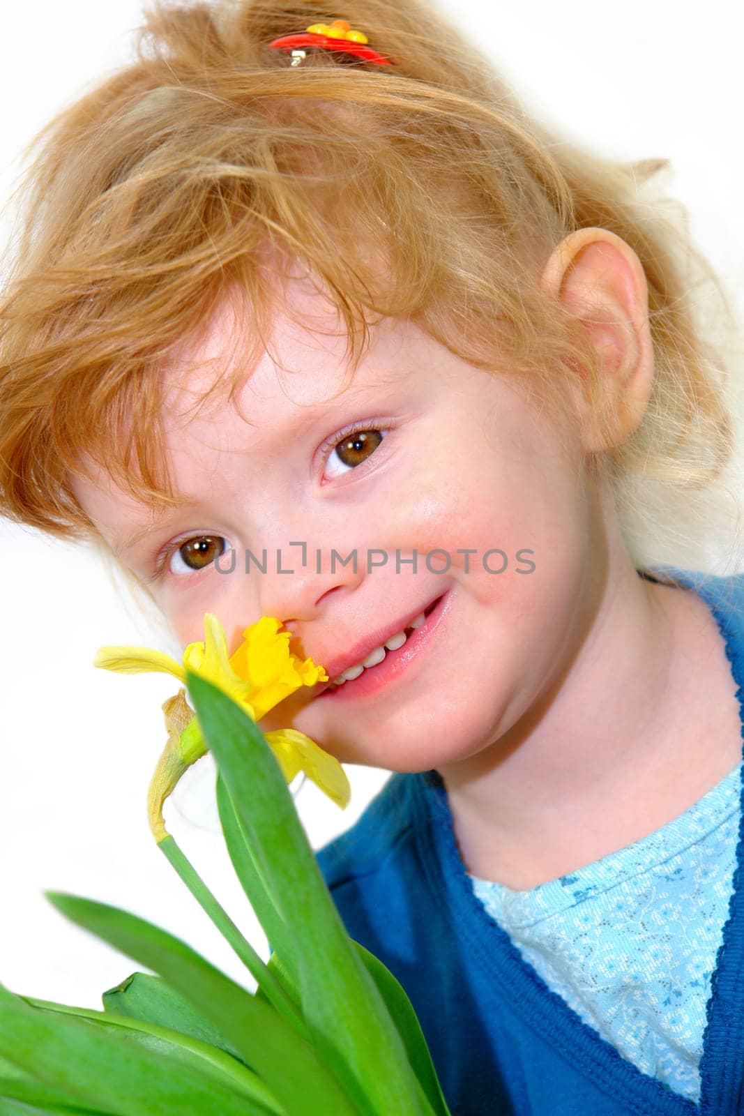 Little girl smells daffodil