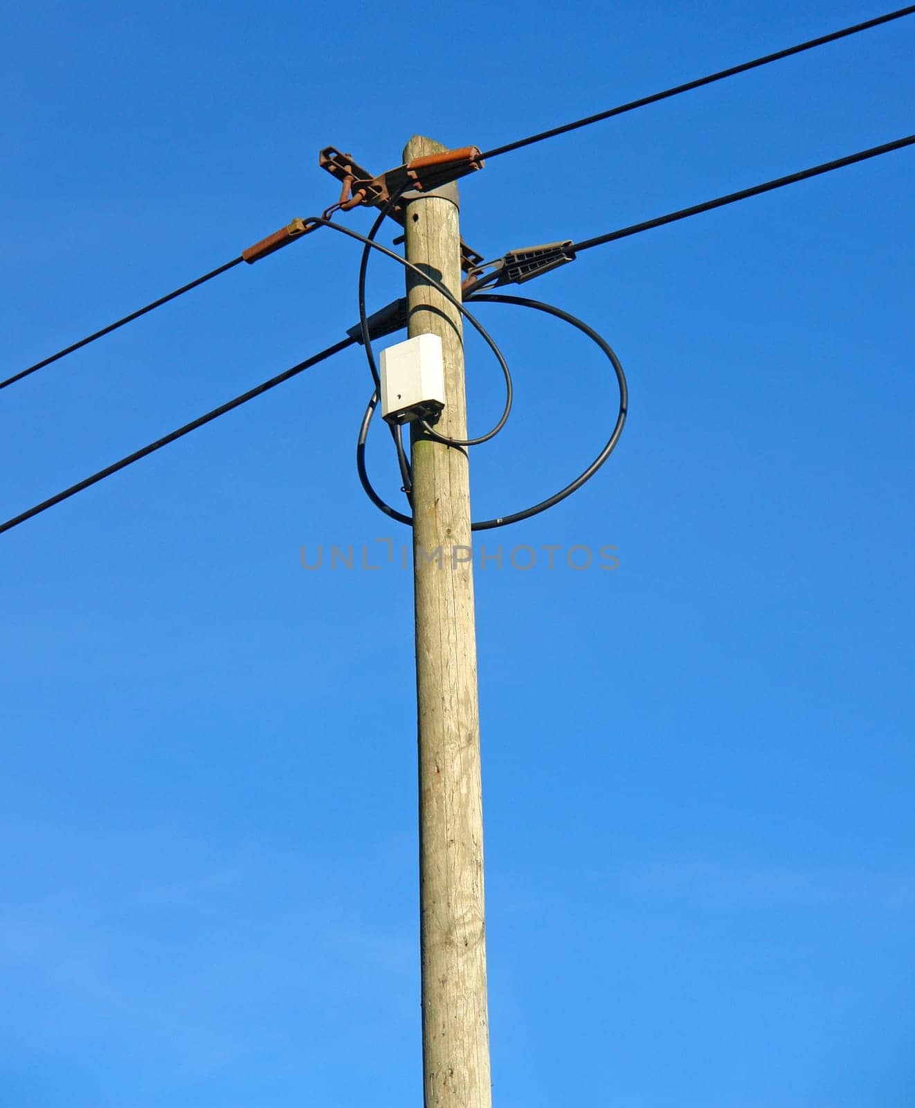 Telephone pole