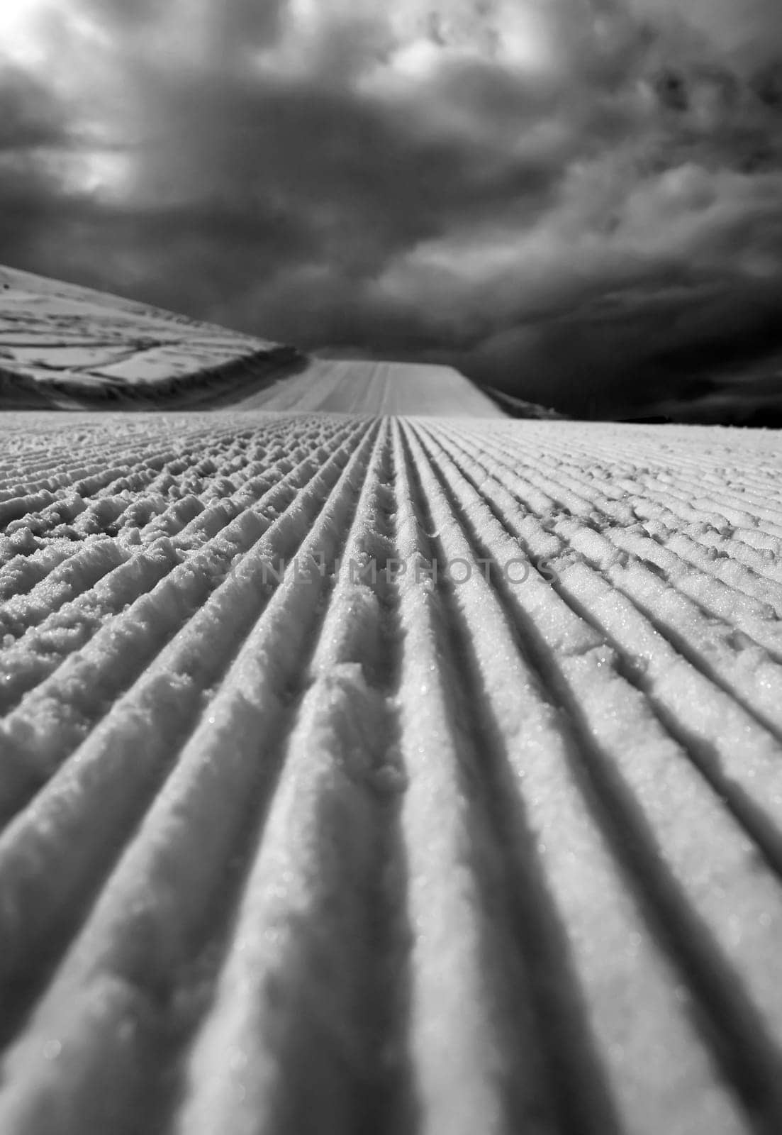 snow or (snow ski) or (snow sledge) or (snow people)