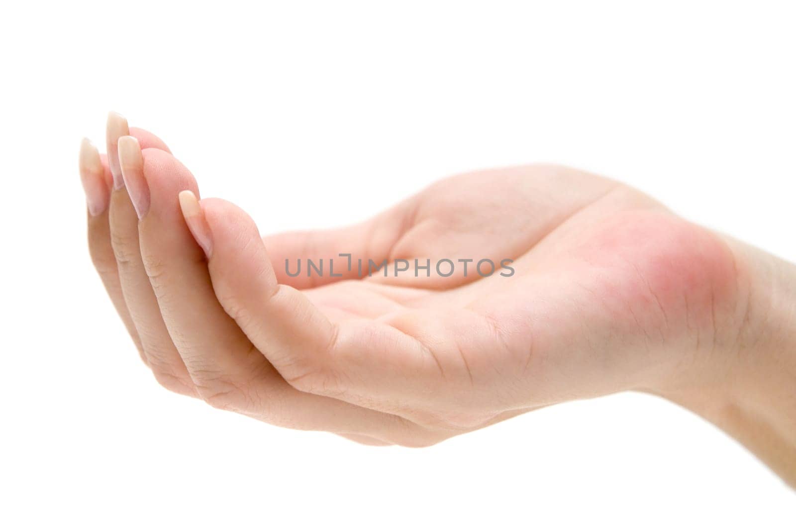 Begging Hand