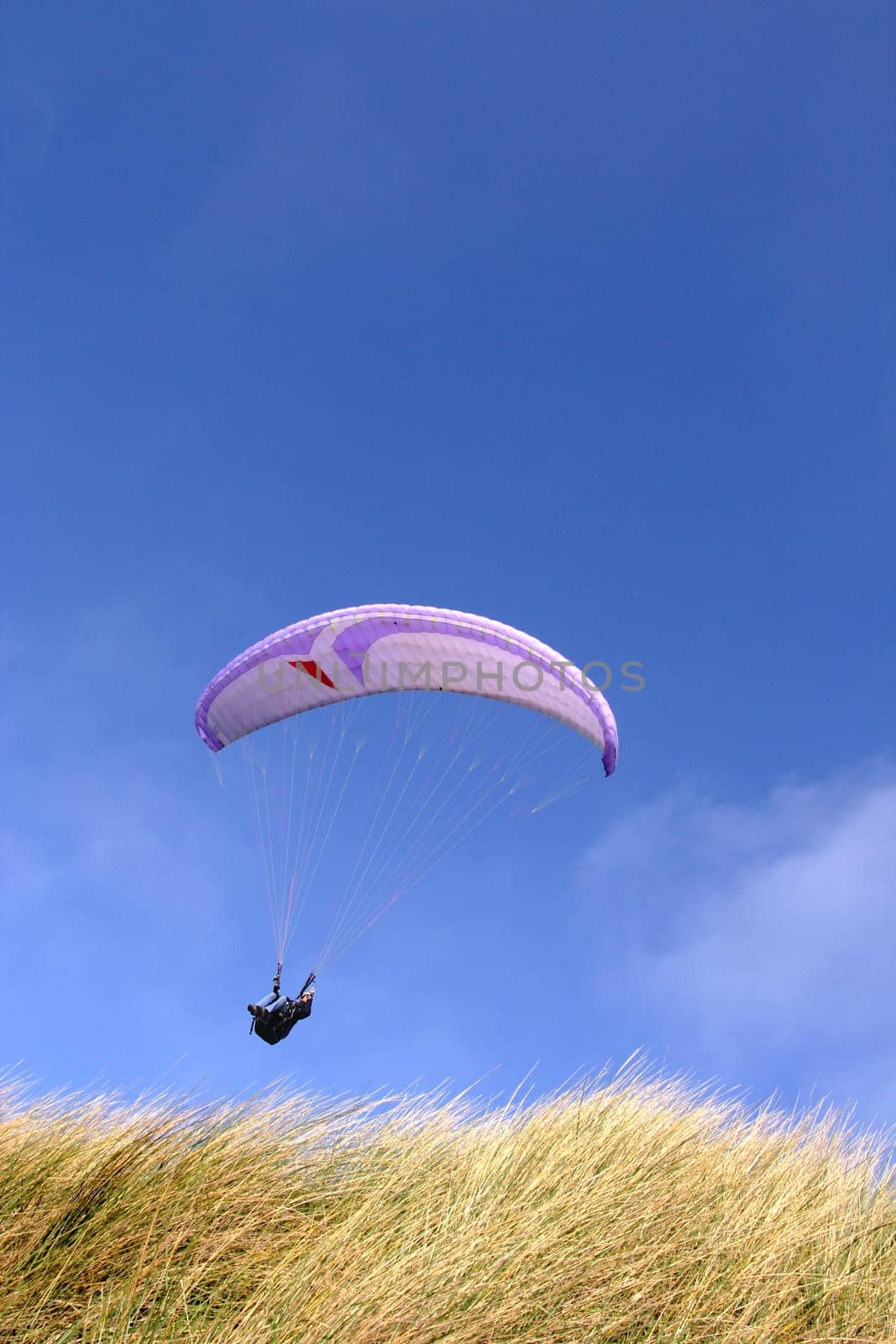 Purple paraglider