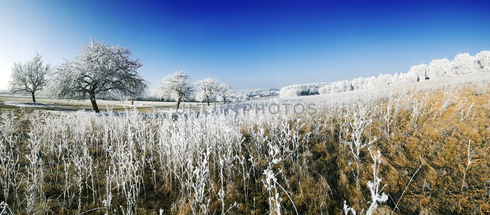 Hoarfrost
