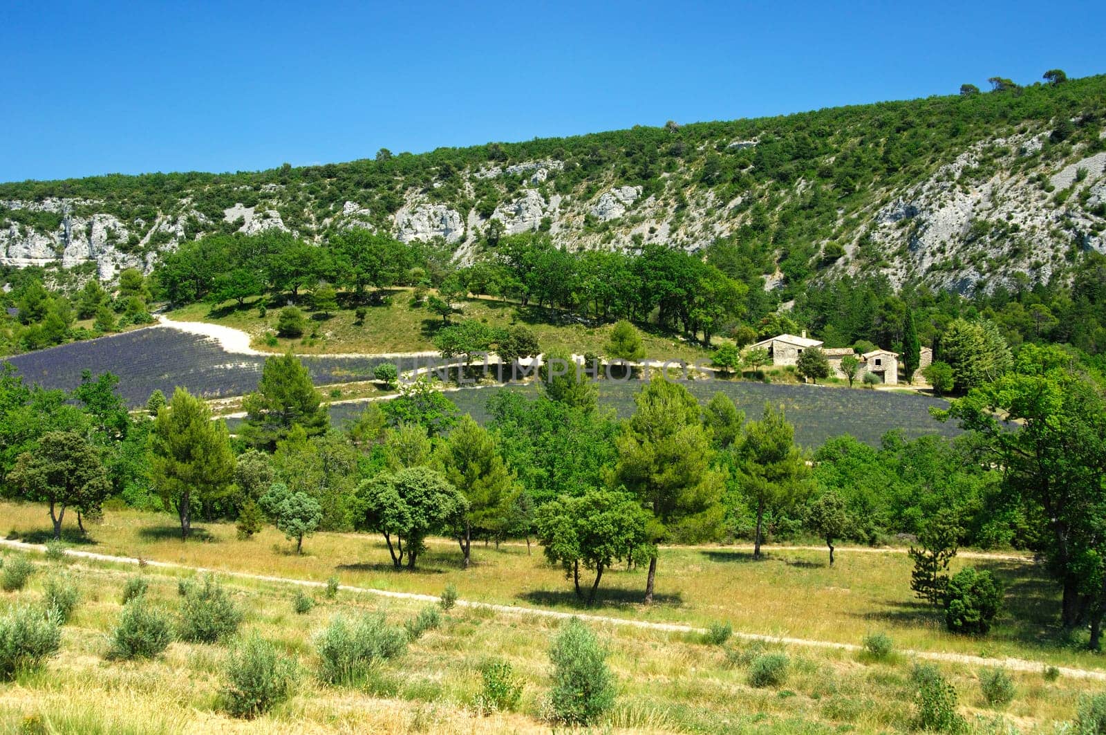 Summer in Provence