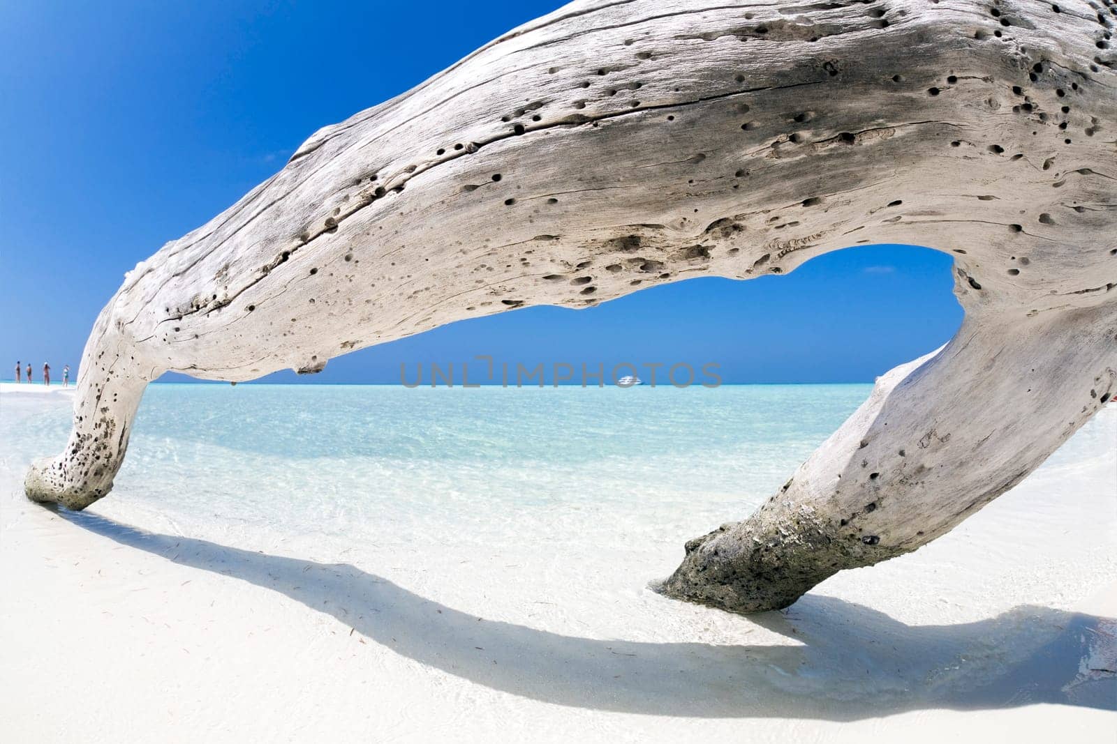 tropical beach