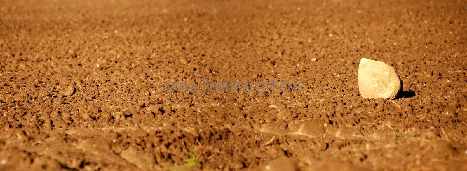 Stone on field