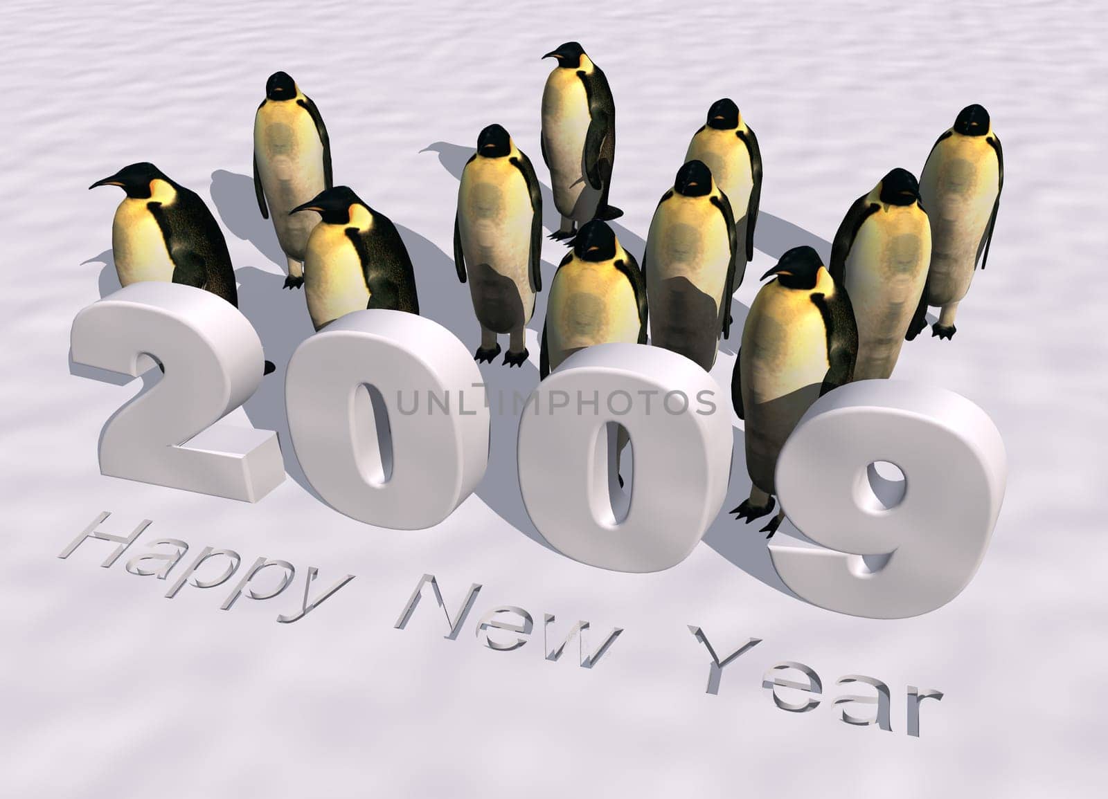 New Year 2009
