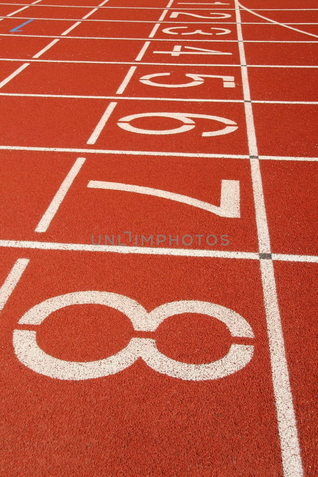 race track in a stadium